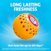 Arm & Hammer Odor Busterz Balls for Long Lasting Freshness,