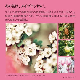 L'Occitane Noble Epin Shower Cream, 8.5 fl oz (250 ml), Body Soap, Unisex, Popular, Birthday, Gift, Present