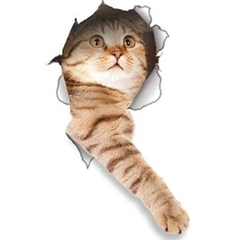 2 Pack - Global Decals 3D Cat Stickers - Reaching Cat Stickers for Wall, Fridge, Toilet and More - Retail Packaged