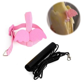 PAVIKE Bird Harness, Parakeet Lead, Adjustable Rope, For Walks, Prevents Loss, Lack of Exercise, Walking, Parrot Training Rope, For Small Animals, Going Out, Pink, Angel Wings, Cute, Bird Supplies