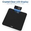 Vitafit Scale for Body Weight, High Precision by Weight Scale