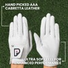 PUR3 2 Pack Men's Golf Gloves | Cabretta Leather Glove