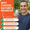 Nature's Branch Suplemento Cúrcuma Jengibre 90 Cápsulas