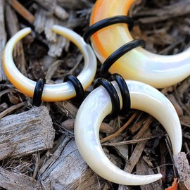 Pierced Owl - Organic Mother of Pearl Pincher Taper Plugs with O Rings, Sold as a Pair, Mother of Pearl, no gemstone