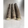 Hawaiian Green Ti Leaf Fresh Cuttings 6inch Starter Logs x3