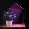 Grow Lights for Indoor Plants - Red & Blue Spectrum