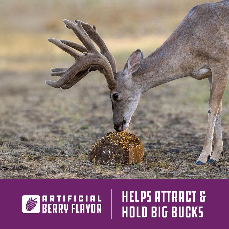 Quick Draw® Berry Deer Block, 20 Pound (20 LB) Block
