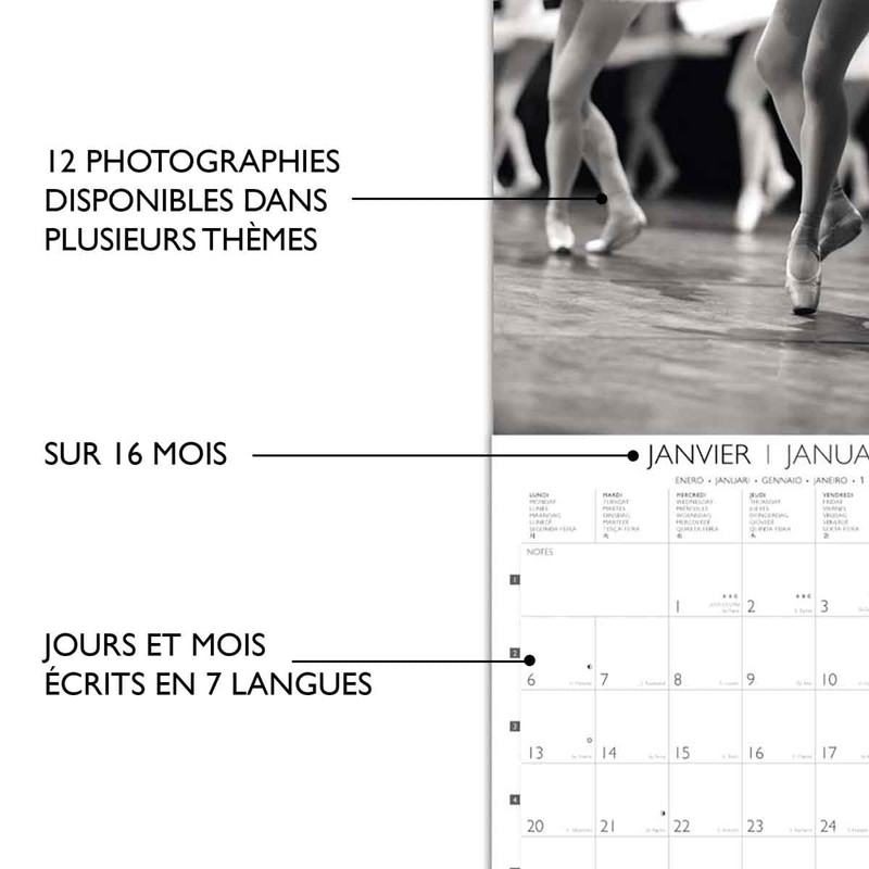 Large Wall Calendar 29 x 29 cm 2025 - September