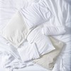 Bucky 100% Buckwheat Filled Pillow Collection, Travel Size, 14x11, White
