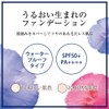 Moist Lab Flora Skin Control Mesh Foundation, 10 (Light Skin)