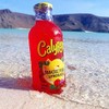 Calypso Lemonades 16 Ounce Glass Bottles 6 Pack (Paradise Punch