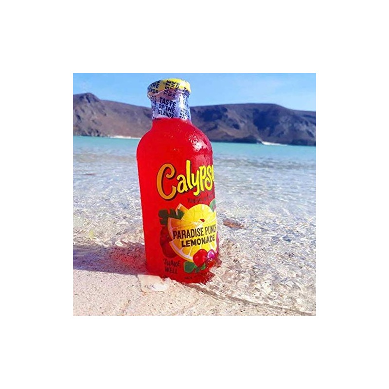 Calypso Lemonades 16 Ounce Glass Bottles 6 Pack (Paradise Punch