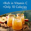 Alpine Sugar Free Spiced Apple Cider Instant Drink Mix, Rich