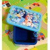 Bluey Storage box