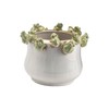 Creative Co-Op Stoneware Planter with Frogs on Rim and Reactive