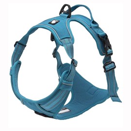 TrueLove Dog Harness TLH5651 No-pull Reflective Stitching Ensure Night Visibility, Outdoor Adventure Big Dog Harness Perfect Match Puppy Vest (Blue,XS)