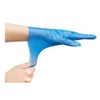 Ebno No.3063 Evcare Silky Gloves, Disposable Gloves, Blue, Boxed, LL