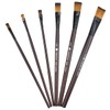 Bezavea 6 Piece Professional Nylon Paint Brush Set for Oil,