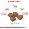 ROYAL CANIN Croquetas para Hembras, Mini Starter Mother & Baby