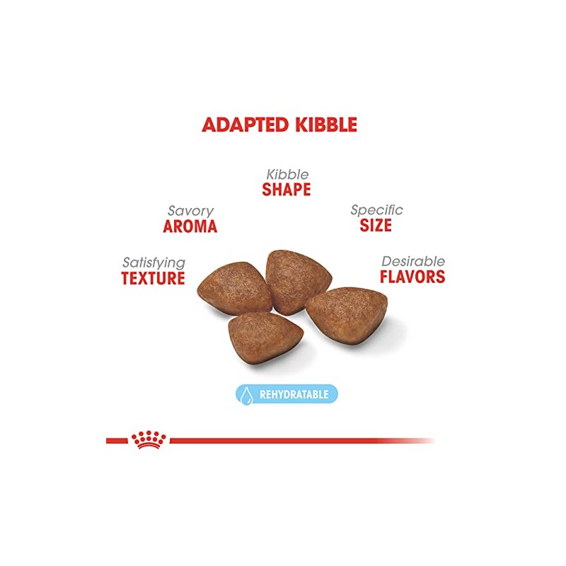 ROYAL CANIN Croquetas para Hembras, Mini Starter Mother & Baby