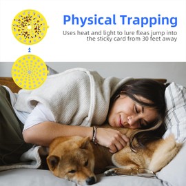 Mosalogic Electric Flea Trap and Killer for Inside Your Home Indoor Fly Light Trap-Natural and Child-Friendly Indoor Flea Control Solution for Home & Garage with 5 Glue Disc Refills