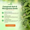 Outsidepride Fenugreek & Microgreens Seeds - 1000 Pcs. Annual, Versatile