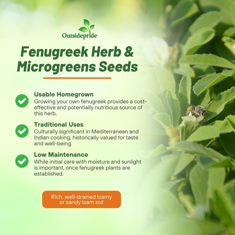 Outsidepride Fenugreek & Microgreens Seeds - 1000 Pcs. Annual, Versatile