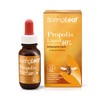 Spring Leaf Propolis Liquid 40% 25ml Alcohol Free - Relieve