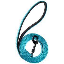 Alcott Adventure Leash for Dogs