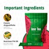 Iaso Instant Tea (Watermelon) - Refreshing Watermelon-Flavored Cleansing Tea, Ideal