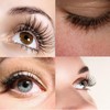 FLUFFBERRY Easy Fan Lashes Eyelash Extensions 0.03 0.05 0.07 Rapid