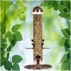 Perky-Pet 385-2 2-in-1 Wild Bird Feeder