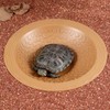 Turtle Bathing Pool Small for Reptiles & Amphibians - Resin