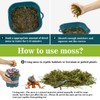 Sukh Sphagnum Moss for Reptiles -Terrarium Moss for Reptiles Peat