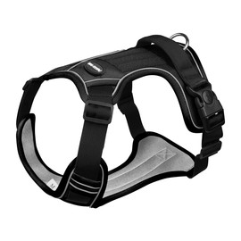 PAGGY OOKI Adjustable Oxford Dog Harness No Pull and Leash Set Walking Pet Harness with Easy Control Handle for Lifting No Choke Front Clip Reflective Dog Vest 2 Leash Hooks Escape Proof (Black, L)