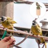 EXQUIMEUBLE 1 Juego Hand Twisted Bird Call Whistle For Practical