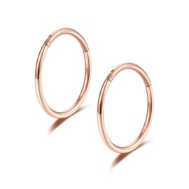 Lantine Pack of 2 16g 18g 20g Nose Piercing Ring G23 Titanium Nose Ring Hinged Septum Piercing Gold Black Rose Gold Titanium Seamless Clicker Sleeper Cartilage Daith Tragus Helix Piercing, Metal, No
