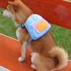 Backpack for Dogs | Small Dog Backpack - Puppy School