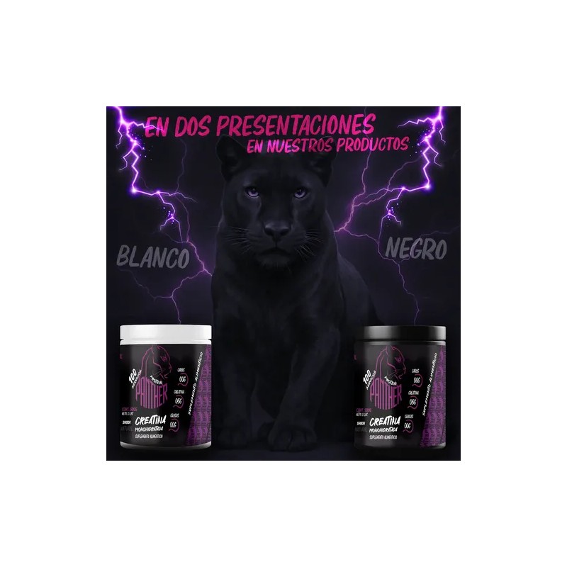 Creatina Panther Protein En Polvo 500g Varios Sabores
