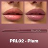 Palladio Delineador de Labios Retráctil Resistente al Agua de Alto