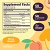 Wellah L-Glutamine Peach Mango (50 Servings) - 5g L-Glutamine Per