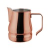 ILSA Evolution Cappuccino and Latte Art 18/10 Stainless Steel Milk