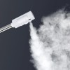 Segawe Professional Spa Beauty Equipment Facial Steamer Skin Care Ozone