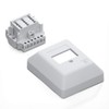 deleyCON TAE NF/F Telephone Socket NFF 2X Telephone Connection +