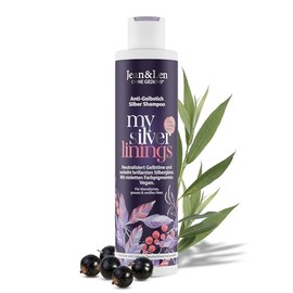 Jean & Len Silbershampoo Silberweide & Cassis, vegane Pflegeformel, für graues, blondes, blondiertes & weißes Haar, mit violetten Pigmenten & Anti-Gelbstich-Effekt, ohne Parabene & Silikone, 300 ml