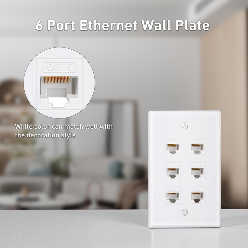 ZoeRax Ethernet Wall Plate Outlet, 6 Port Matte Keystone Wall