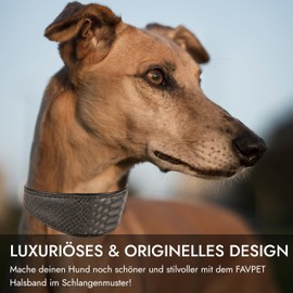 FAVPET Luxury Genuine Leather Greyhound Collar Wide with QR Code Pendant, Soft Leather Dog Collar Wide Whippet Italian Wind Chime Saluki Lurcher Spanish Galgo Greyhound Podenco (Grey, M)
