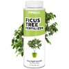 TPS NUTRIENTS Ficus Tree Fertilizer for All Ficus, Fig and