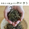 Gabai Farm Domestic Handmade Yacon Tea, 0.1 oz (3 g)