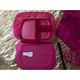 New Tupperware A Must Have Lunch Bag Set of 4 Beautiful Fiusha Color